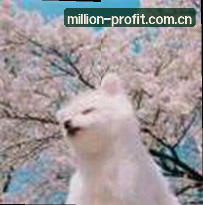 吴磊